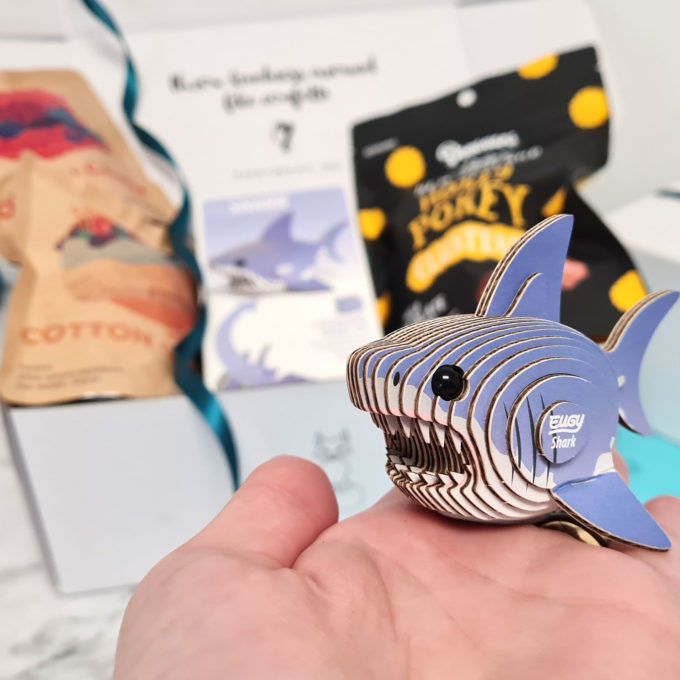 Kids Hamper gift box, birthday present, FOXY BOXY close up of shark model